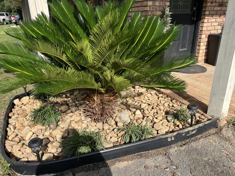 Landscaping project by D&M Landscape Services
